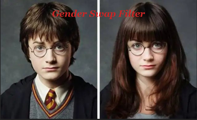 gender swap filter