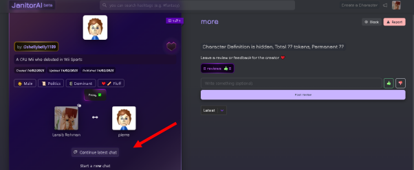 janitor ai profile customization