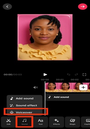 dub tiktok remix