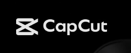 twitter video tools download capcut