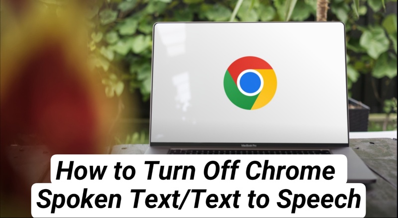 article