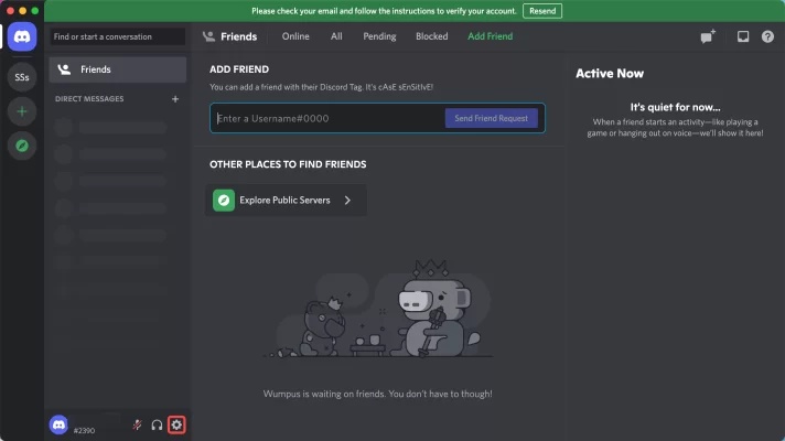 discord video background not working