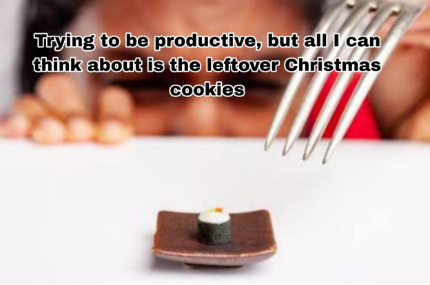 day after christmas funny memes