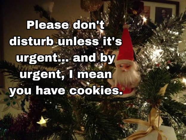 working the day after christmas meme