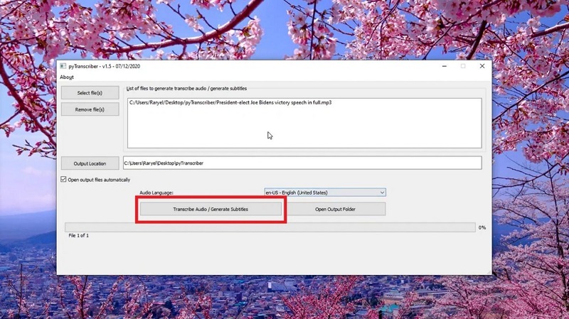 pytranscriber step 2