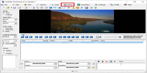 subtitle workshop pricing