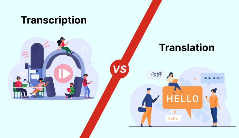 transcribed vs translated