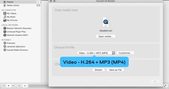 choose a conversion format