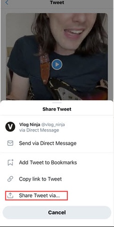 convert twitter video to mp4 free