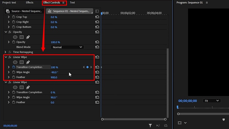 customize the effect in Premiere