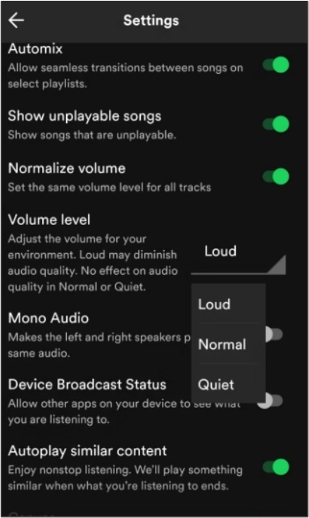 모바일 스포티파이 소리를 키우는 방법1