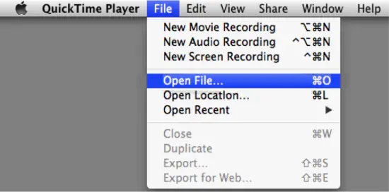 load your video to quicktime player