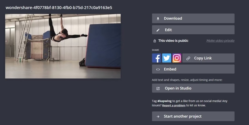 loop video instagram story