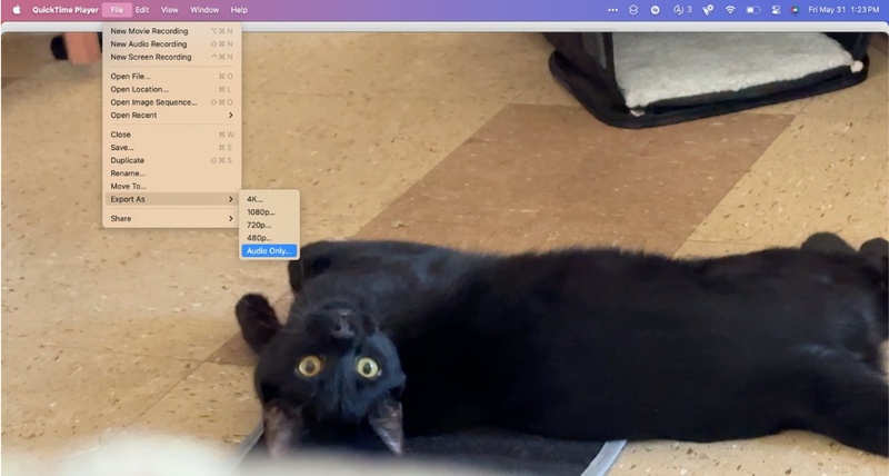 save only audio in quicktime