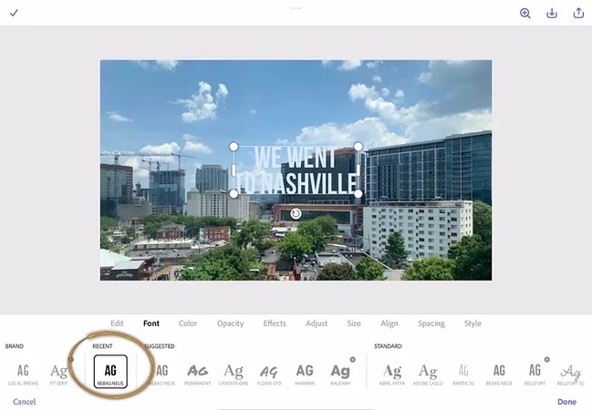 thumbnail grabb youtube