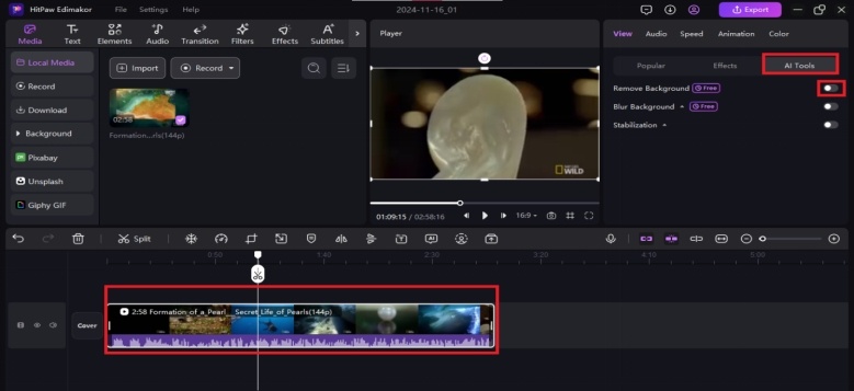 xvid video codec for mac os sierra