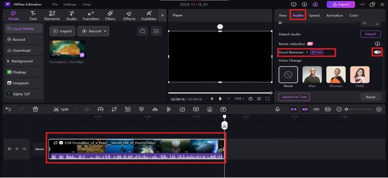 xvid video codec for mac os x
