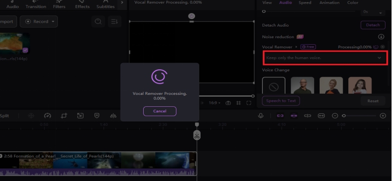 xvid video codec for vlc mac
