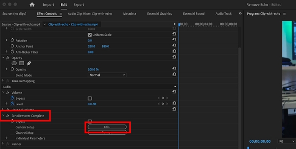 remove sound echo from video