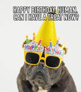 funny happy birthday meme