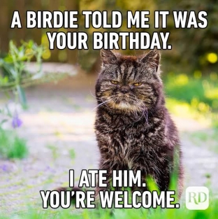 funny happy birthday memes
