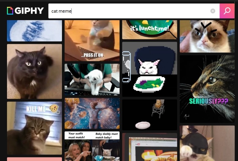 funny reaction cat meme face giphy
