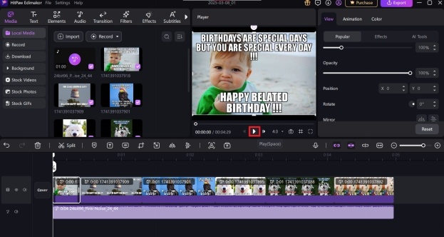 preview your happy birthday vlog