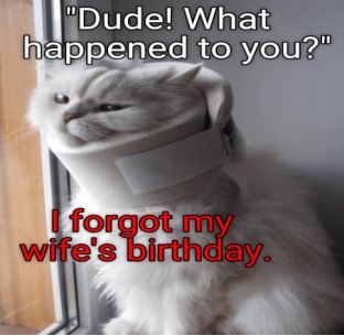 happy birthday funny meme