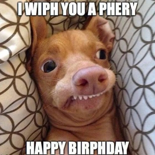happy birthday meme funny