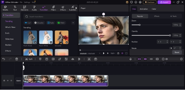 alibaba ai video generator wan 2 1