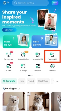 Dreamface Reveal.Jpg