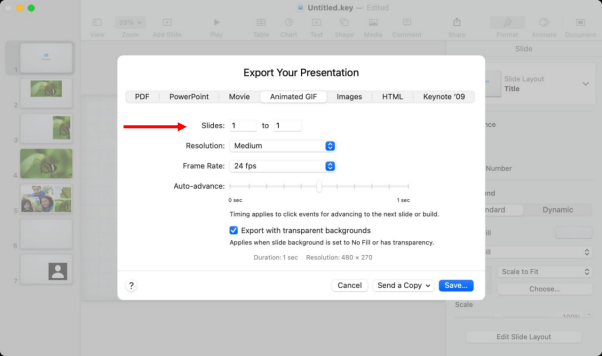 how to turn a video into a gif on mac