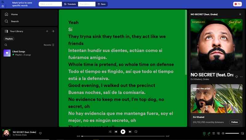 translate the lyrics