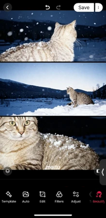 Meitu Snowing Night ai effect