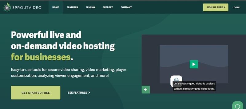 best divicast alternative free SproutVideo