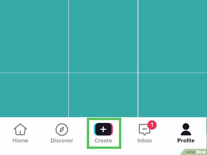 TikTok 버즈컷 필터