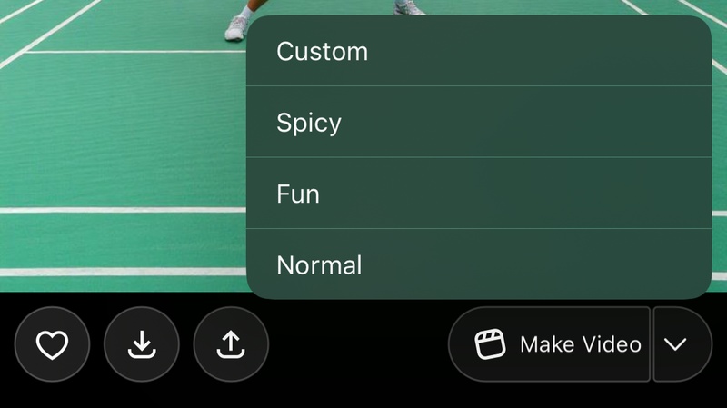 Grok Imagine Spicy 모드가 안됨 문제 해결