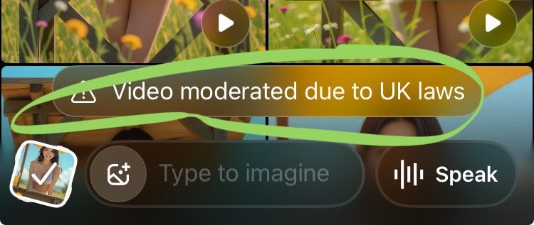 grok imagine video moderated bypass
