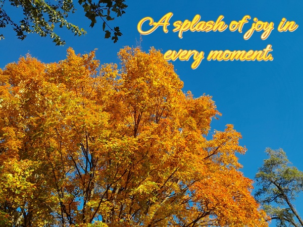 colourful mandala art captions for instagram