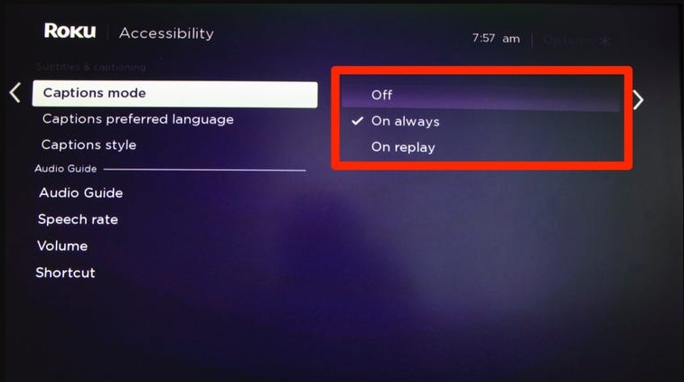 disney plus subtitles not working on roku