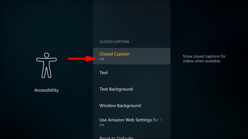 paramount plus subtitles not working on roku tv