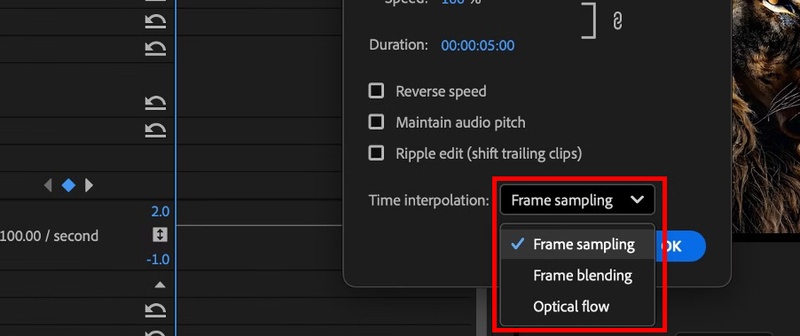 apply time interpolation