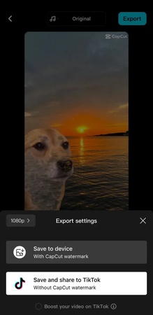 choose save and share to tiktok