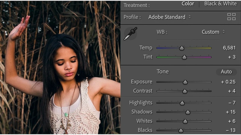 how to make photos look professional on canva