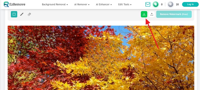 Save Video Ezremove Storyblocks Watermark.Jpg