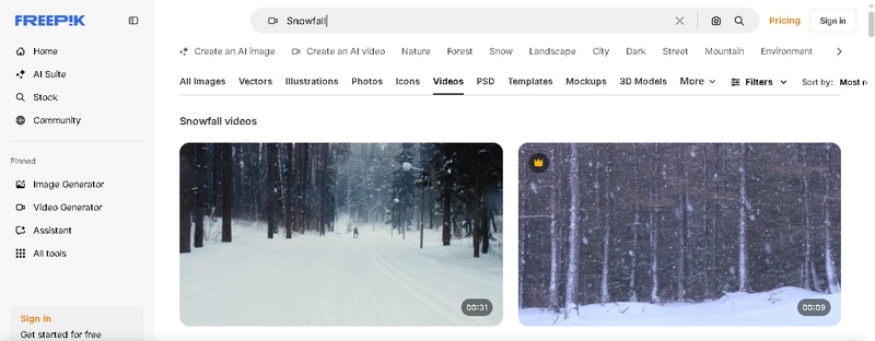 snowfall video in kashmir