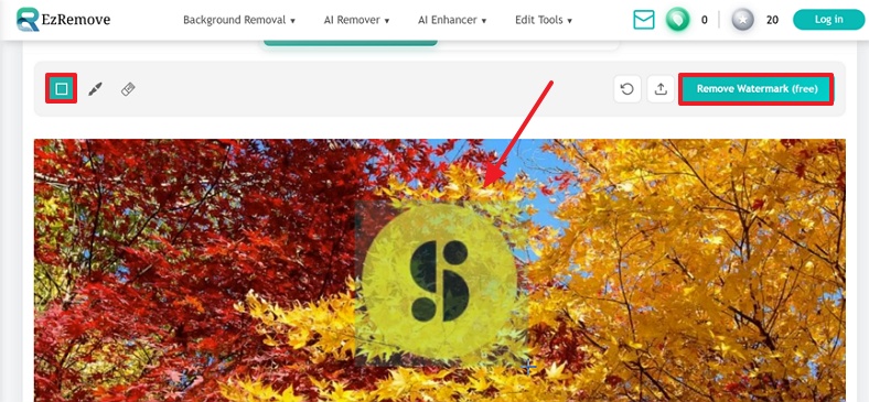 Start Storyblocks Watermark Removal Ezremove.Jpg