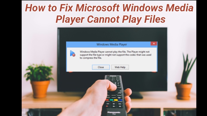 windows media player cannot play the file