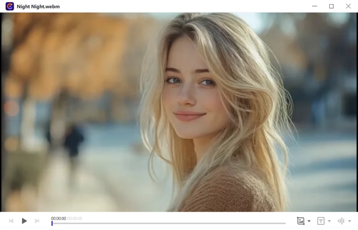 비디오/이미지 파일 재생