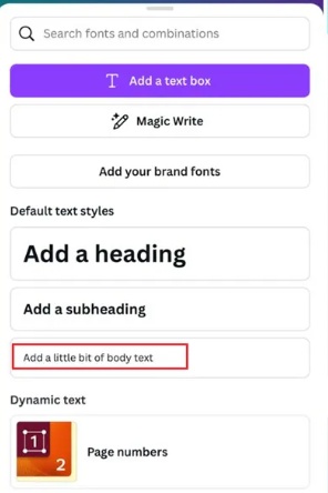 canva video editor review